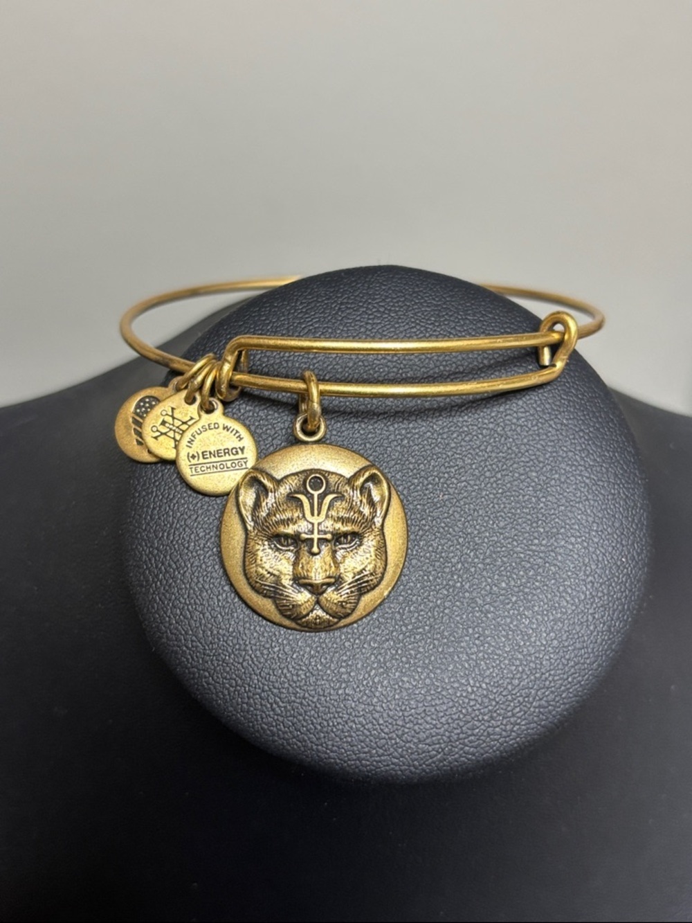 Alex and Ani Gold 'Wild Heart' Round Charm Adjustable Bangle Bracelet